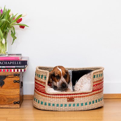 PET & Co.