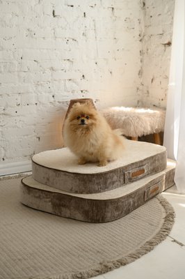 PAWEAREA — Luxury Pet Interiors 
