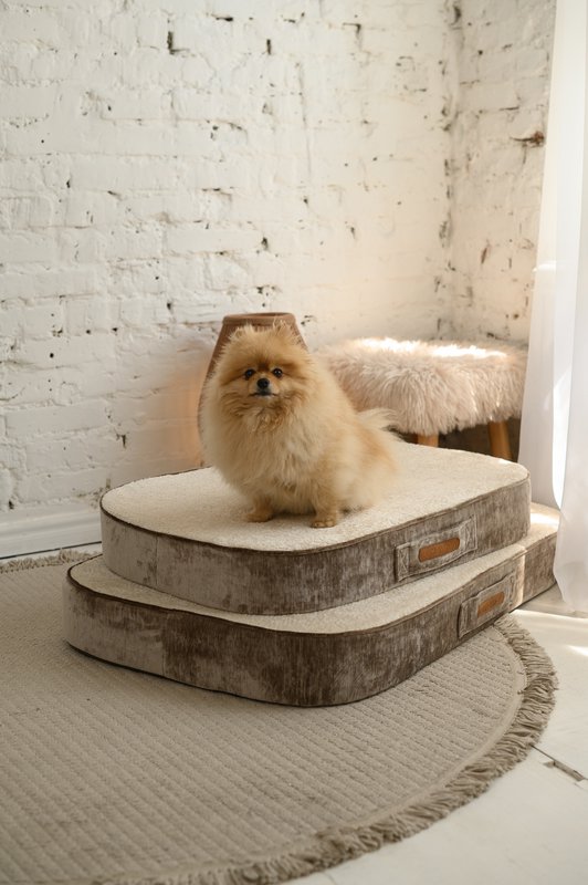 PAWEAREA — Luxury Pet Interiors  - 2