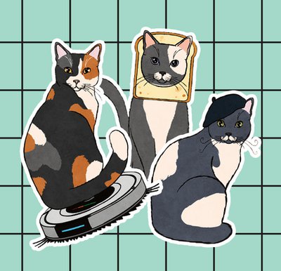 Kat &