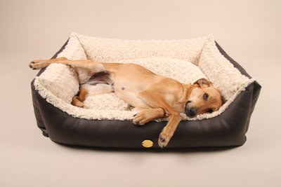 StyleSnout GmbH