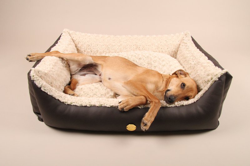 StyleSnout GmbH - 2
