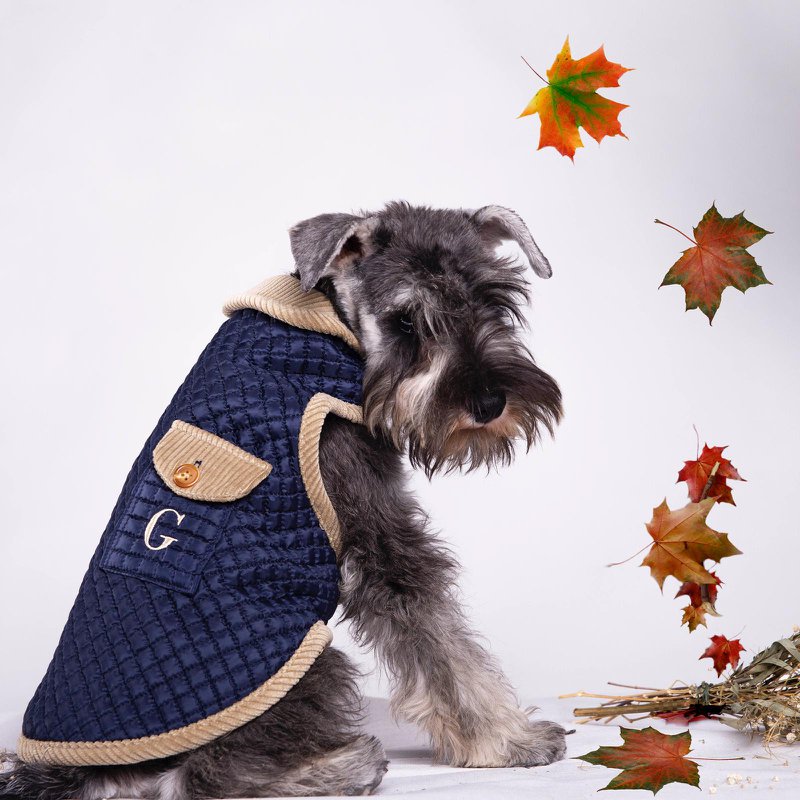 GentleDog - 6