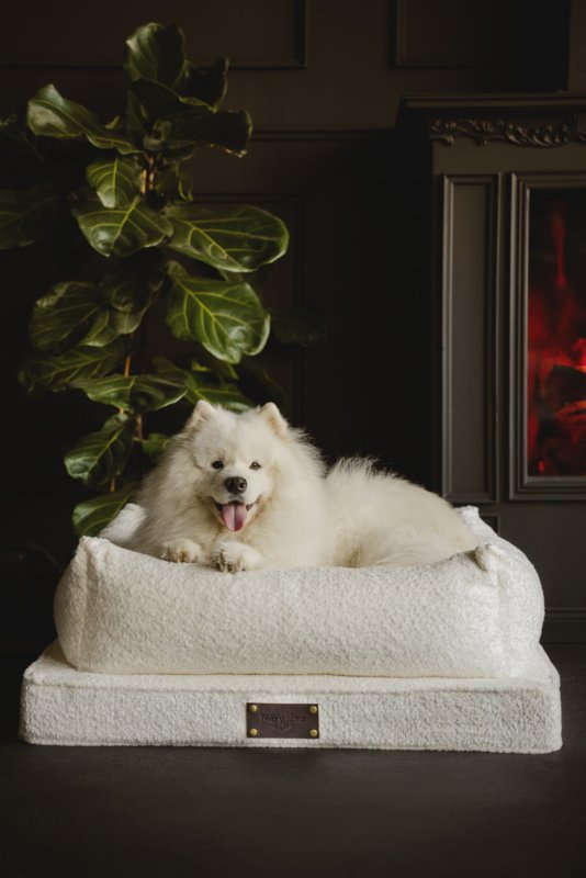 Fluffy Puppy - 5