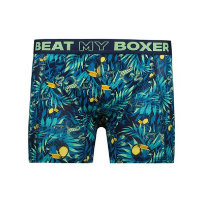 Beat my Boxer