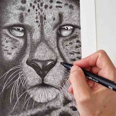Quirine ter Huurne mixed media illustraties