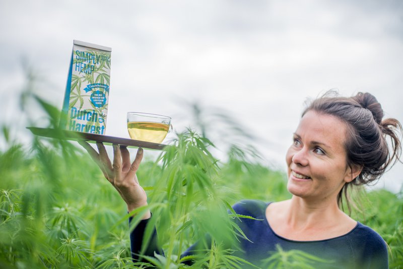 Dutch Harvest hemp tea - 6