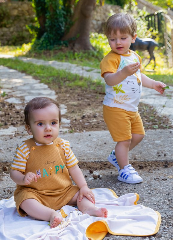 FS Baby - 4