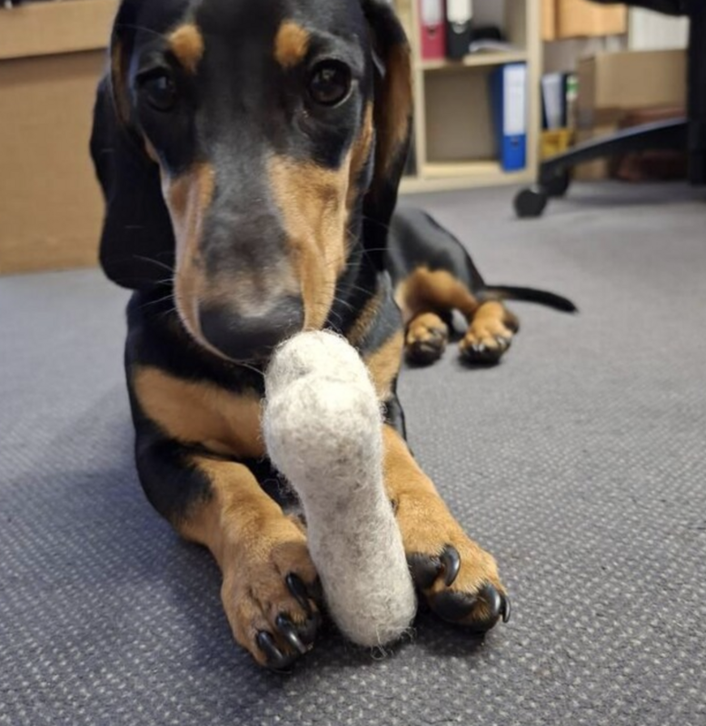 Pawsome Pet Toys - 4