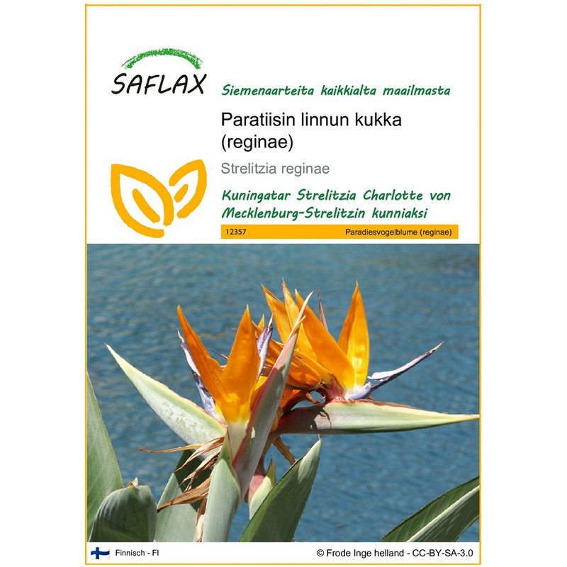 SAFLAX - 7