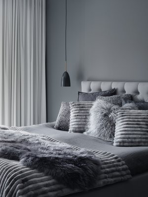 Skinnwille Home