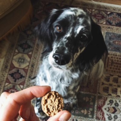 Scraps Gourmet