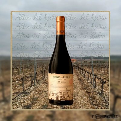 Viñedos y Bodegas Lyng