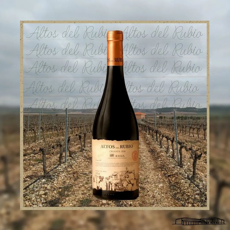 Viñedos y Bodegas Lyng - 1