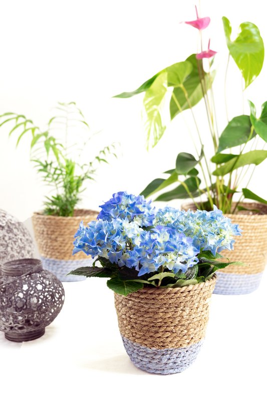 SH florale Ideen - 6