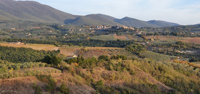 Azienda Agricola Biologica Podere Panolfo