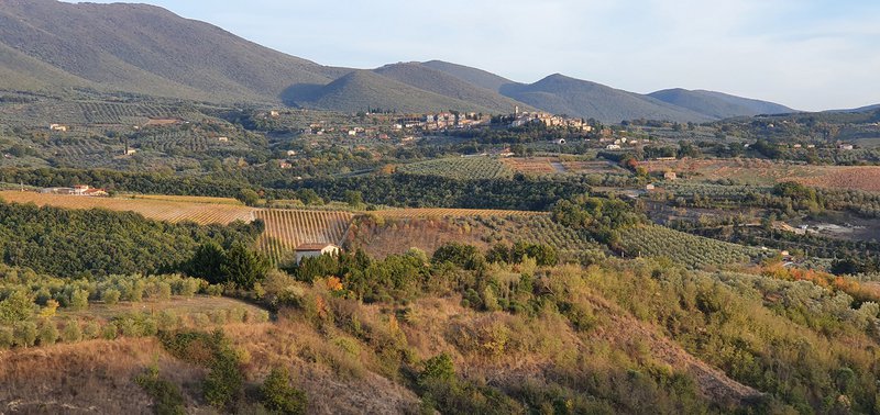 Azienda Agricola Biologica Podere Panolfo - 4
