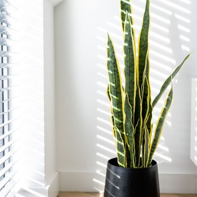 Artificial plant - Ficus Lyrata - Tobacco plant - 120 cm Online Wholesale