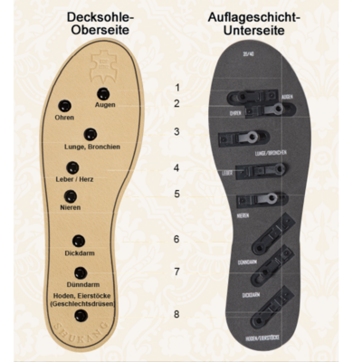 SHUKANG - Die patentierte Gesundheitseinlegesohle