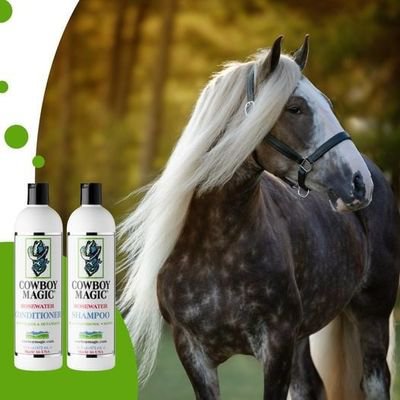 Cowboy Magic® Europe