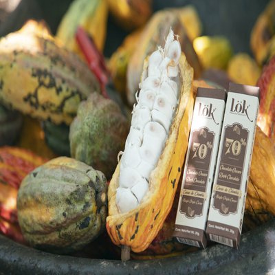 Lok Foods Austria