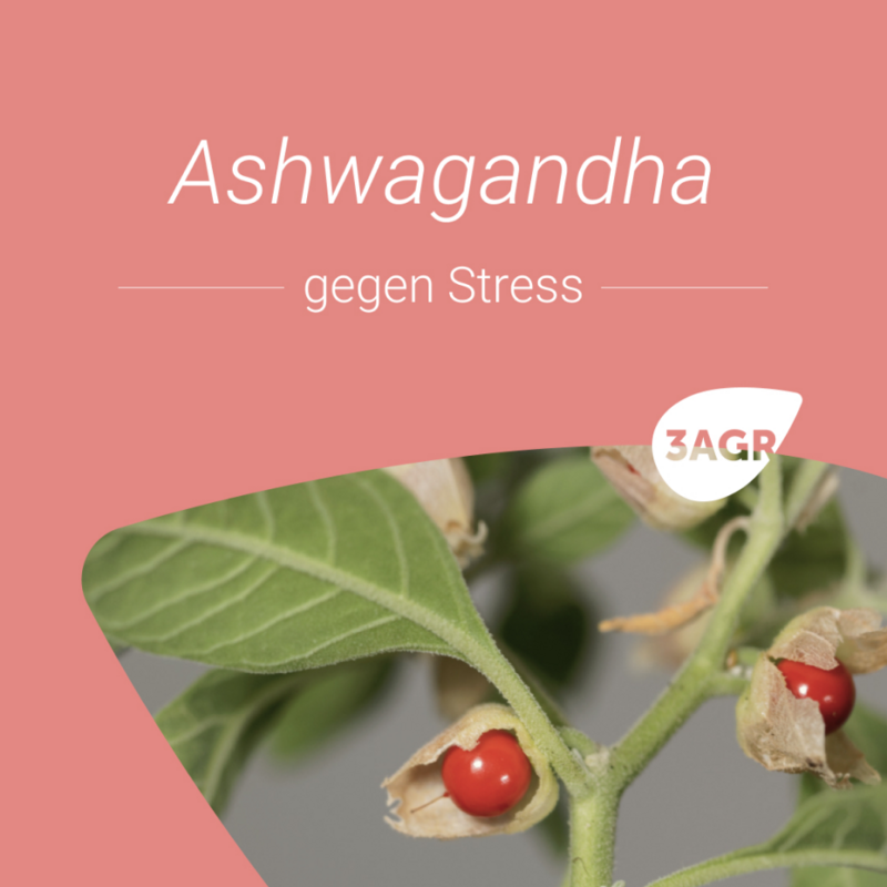 CUhealthy GmbH - 5