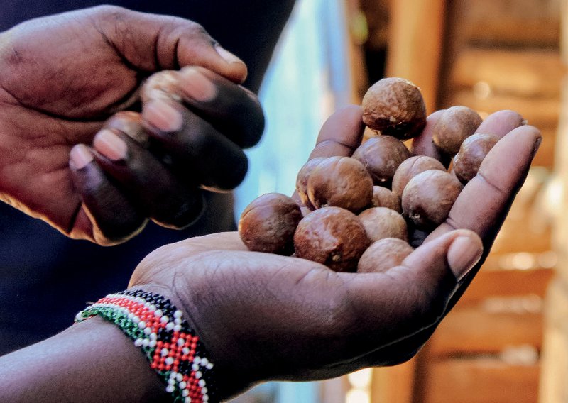 AfreeGems.com to Africa - 5
