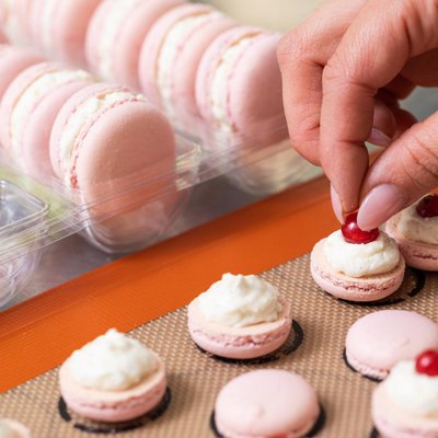 PVC Bindgaren 3.5 Mm Alle Culturen Macarongaren - 1 Kg, 3,5 Mm Diameter, PVC, Rekbaar, Voor Het Binden Van Bomen, Wijnstokken & Planten Macaron Tuingaren