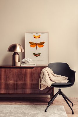 Esque