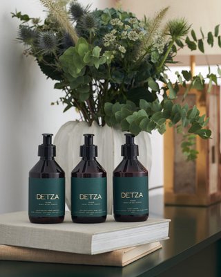 DETZA