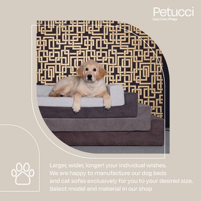 Petucci & Accessoiries