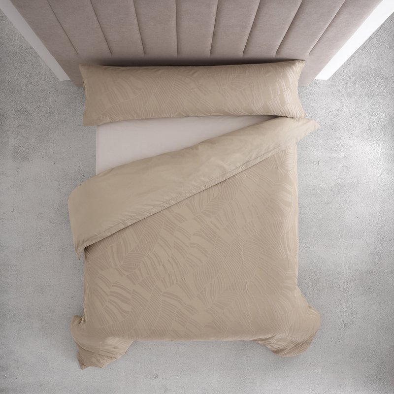 Alexandra Nest - 3