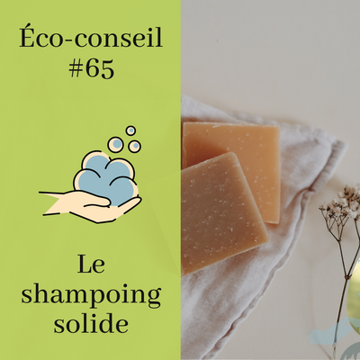 ECO-CONSEILS