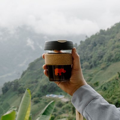 Kiss the Hippo Coffee