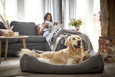 WOLTERS cat & dog GmbH