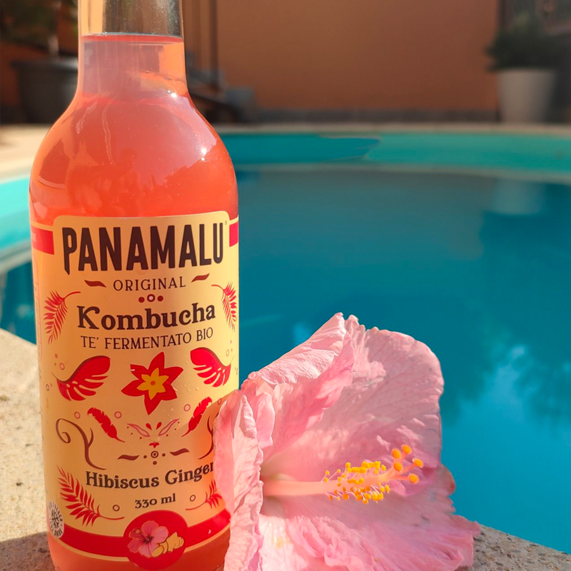 PANAMALU - 3