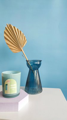 The color store