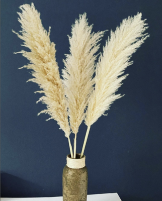 Dekogold