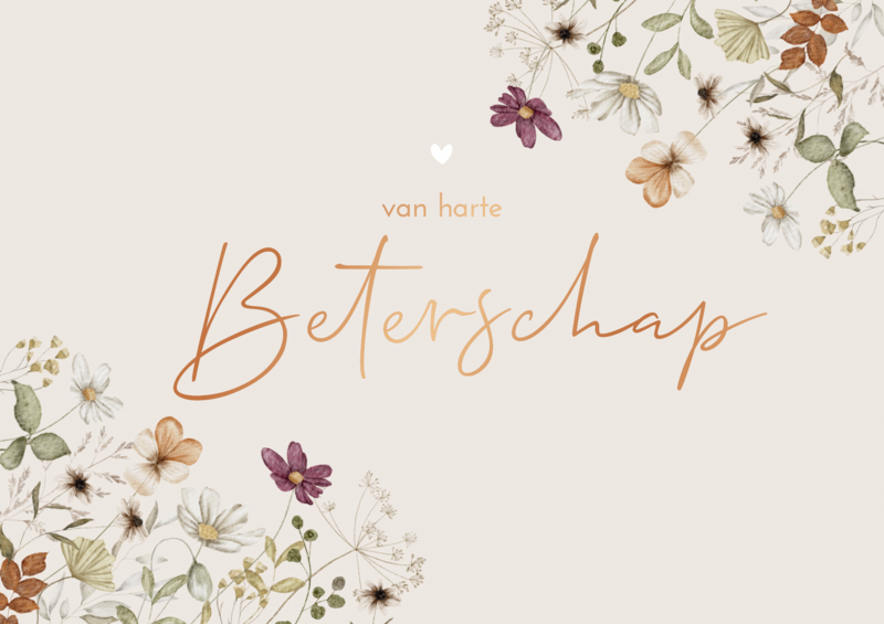 Het Uilennestje - 3