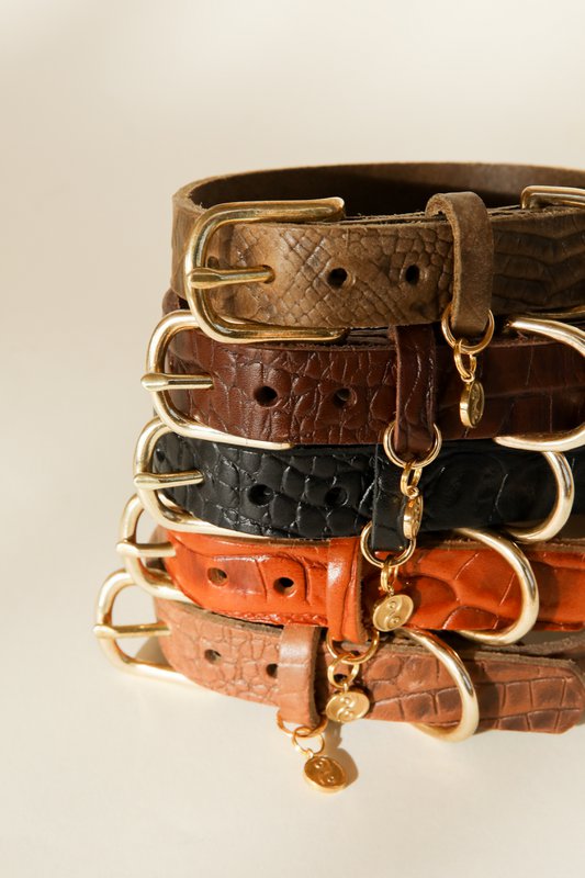 The Dog Musthaves - 1