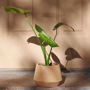 MINIMUM DESIGN, Home & Living brand in France