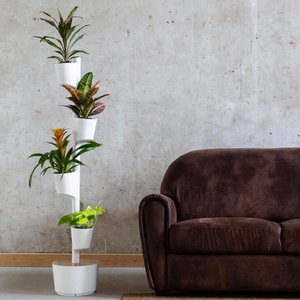 CITYSENS, Haus & Wohnen Marke in Spanien