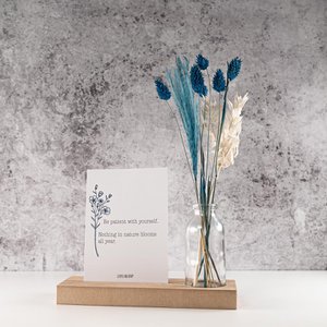 Lievelingshop, Haus & Wohnen Marke in Niederlande