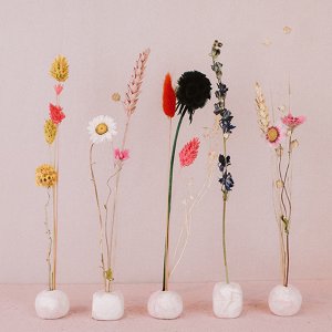 Ratatouille - Creative Studio, Home & Living merk in Nederland