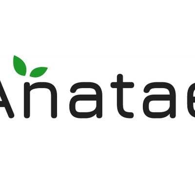 ANATAE Online Wholesale