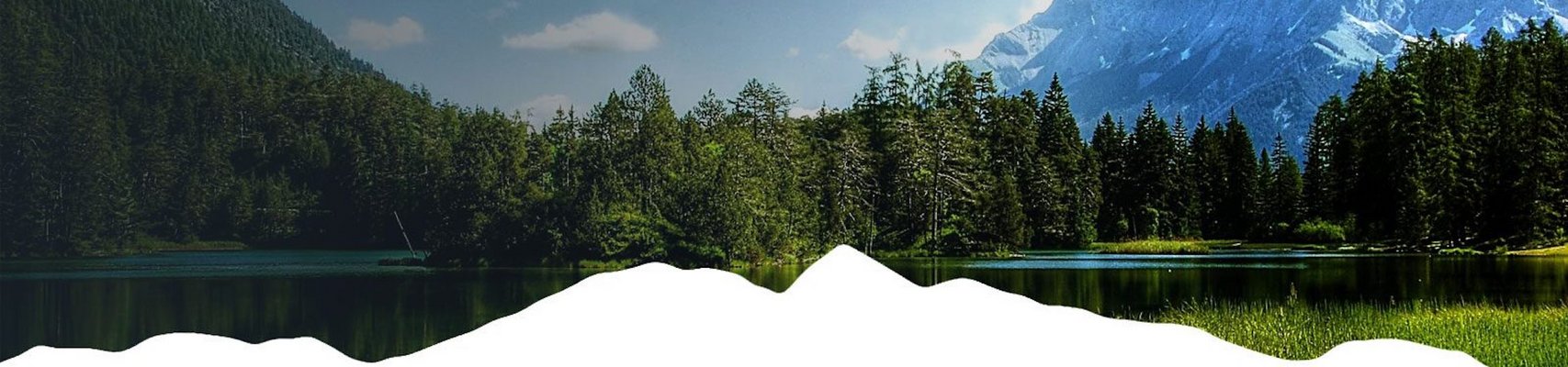 ABIES LAGRIMUS
