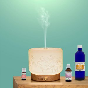 Innobiz, Home & Living brand in France