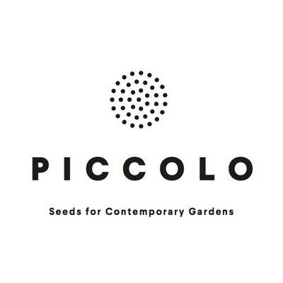 Piccolo Seeds