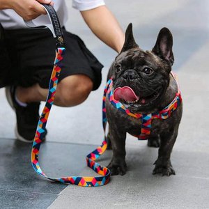 Importify, Home & Living merk in Duitsland