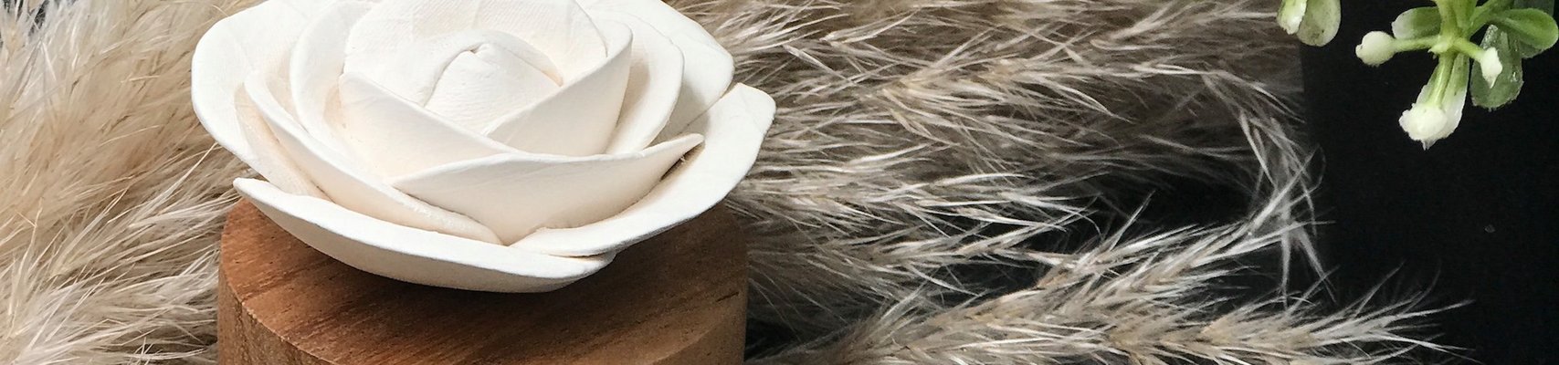 ANOQ Decoration & Parfums